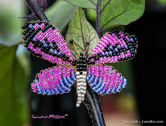 Butterfly: Fusia, Purple & Black